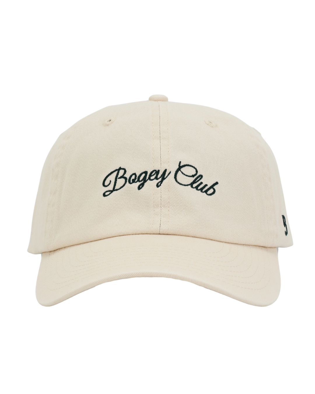 Dad Hat: Natural